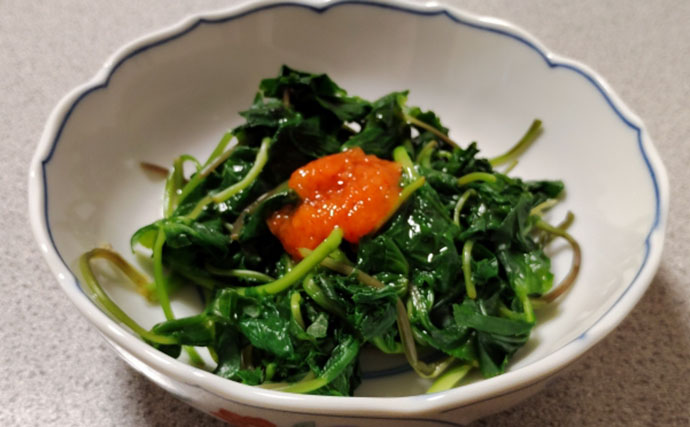 「その雑草、実は食べられるかも？」 渓流釣りと相性が良い野草採りのススメ