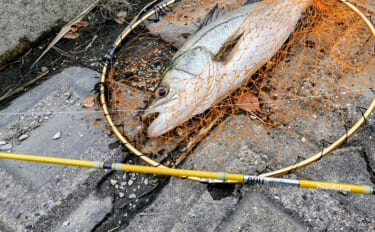 ガソリン価格急騰で釣り人のサイフと釣果も大ピンチ！ 今すぐ出来る対策3…