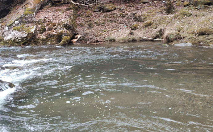 「アマゴの聖地で爆釣を満喫！」天川村での渓流エサ釣りで本命34匹手中