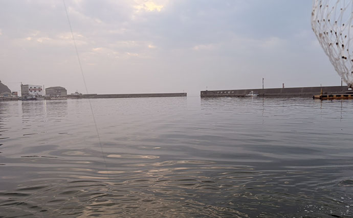 大山沖でイサキ釣りが開幕！30cm超えの良型中心に7匹手中【忠栄丸】