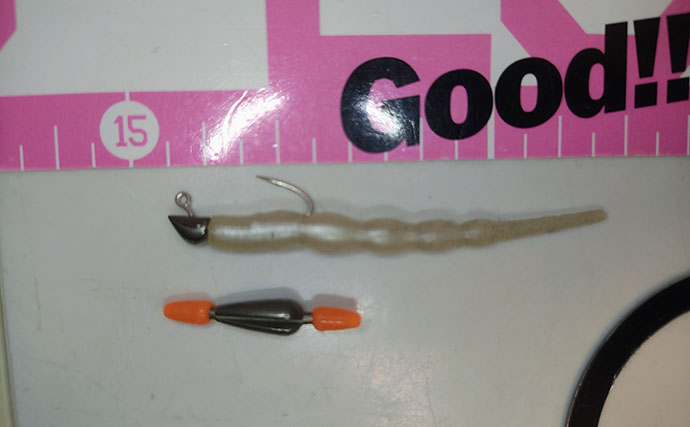 北陸での陸っぱりアジング釣行で30cm超え「尺アジ」キャッチに成功！