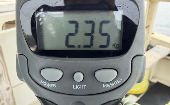 ボートエギングで2kg超えアオリイカが堂々浮上！【熊本・天草】キャスティングにヒット