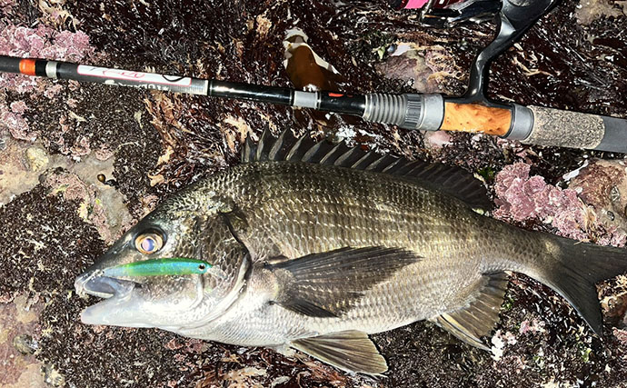 磯メバリングの実績抜群プラグルアー3選　ライトゲーム初心者にもオススメ！