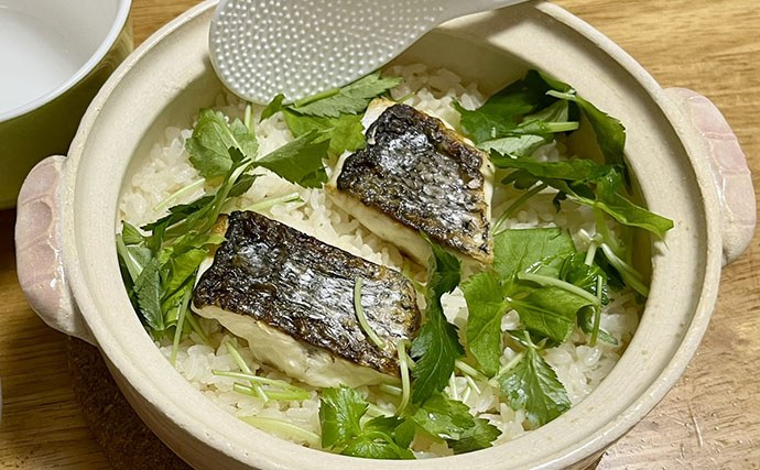 「乗っ込みシーズン開幕！」筏でのダンゴ釣りで良型クロダイ5枚【三重】