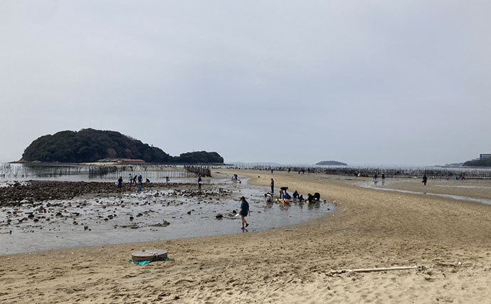 魚影ならぬ「貝影」が抜群に濃いトンボロ干潟でハマグリを発見！【愛知・前島】