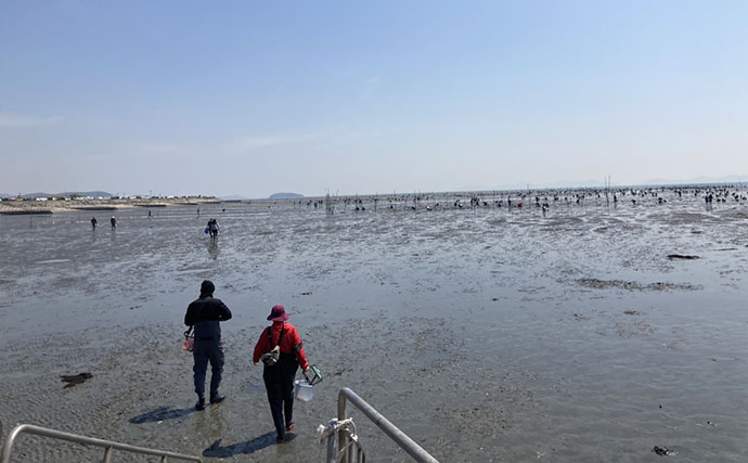「表層の一段下を探るのがコツ！」衣崎海岸での潮干狩りでハマグリをゲット【愛知】
