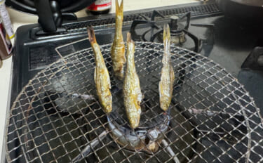 淡水魚トップクラスの味を誇る『ホンモロコ』　逆立ちさせて焼くと美味しい…