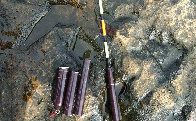 沖磯フカセ釣りで43cm筆頭に良型グレがポツポツ【和歌山】好ゲストにイサキも登場