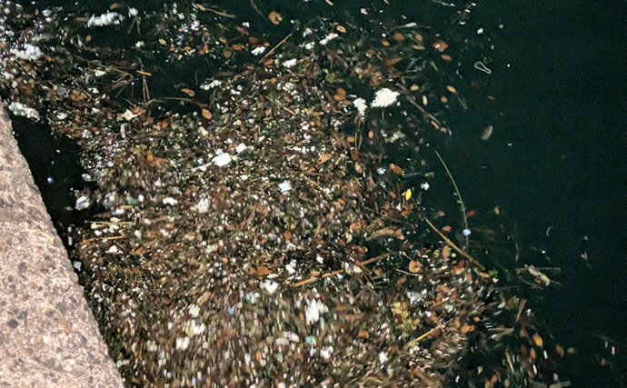 紀北から中紀をラン＆ガン！【和歌山】ライトソルトゲームでメバルにカサゴにマゴチ手中