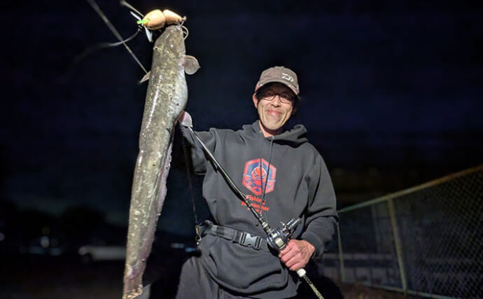 「ナマズ釣りシーズンが開幕！」自作ルアーに豪快ヒットで大満足【和歌山】
