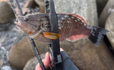 「春になれば魚が釣れる」という幻想と現実　4〜5月は意外とシビア！と覚…