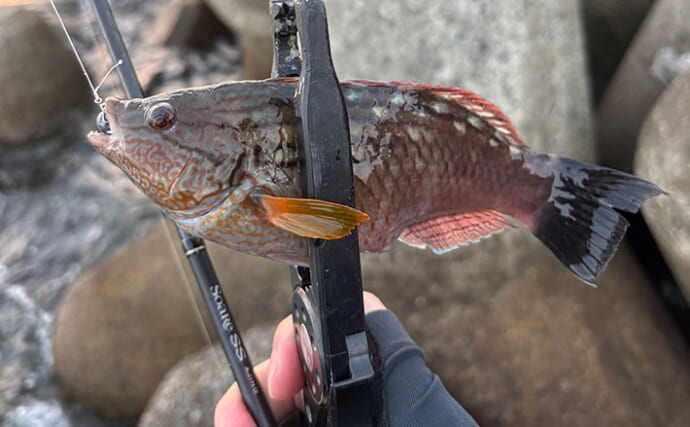 「春になれば魚が釣れる」という幻想と現実　4〜5月は意外とシビア！と覚悟せよ