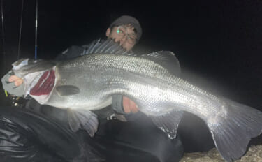 「想定外の大型魚がヒット！」 夜磯メバリング釣行で良型ヒラスズキを手中…