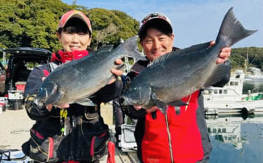 磯フカセ釣りで40cm超えグレ続々！【的山大島・長崎】好ゲストにイサキ…