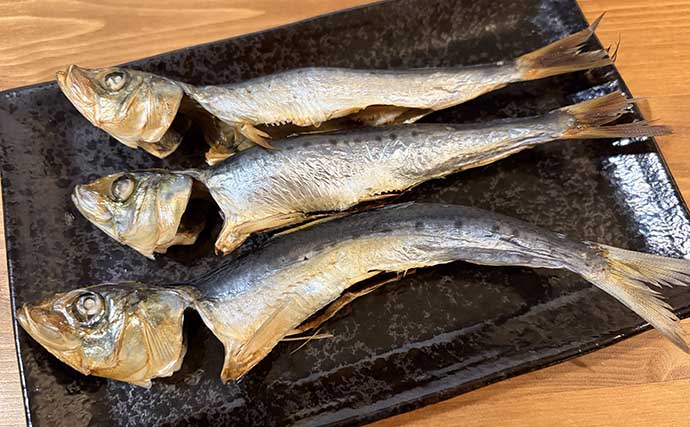 「脂ノリノリのイワシ接岸中」サビキ釣りでマイワシが爆釣！【小名浜・福島】