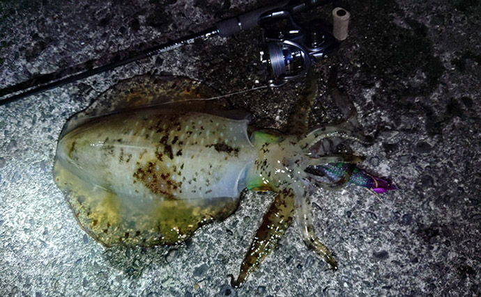 超一級フィールドに釣り移住して1年が経過　感じた4つのメリットとは？