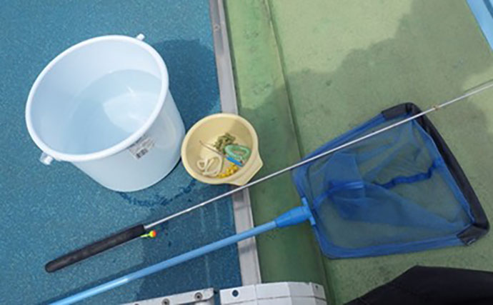 日本一小さい「蕨」市の唯一の釣り堀『つかプーフィッシング』で鯉とニジマス釣りを堪能