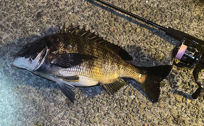 ハイプレッシャーポイントでチヌ（クロダイ）を釣る方法　フィネス化が有効