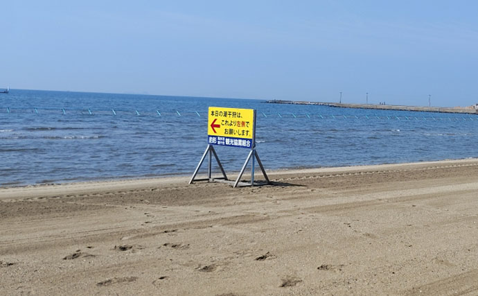 「釣り人的思考」でアサリ大量確保に成功！ 秘訣はアサリと人の考えを読むこと？