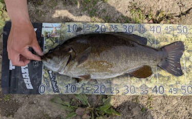 「超ハイレベルな接戦に！」 人気釣りYouTubeチャンネル主催のバス…