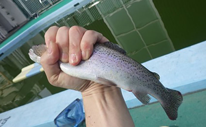 日本一小さい「蕨」市の唯一の釣り堀『つかプーフィッシング』で鯉とニジマス釣りを堪能