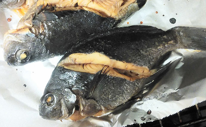 釣った魚で作る「疲労回復」レシピ：小グロの黒糖焼き絞め　メバルでもOK