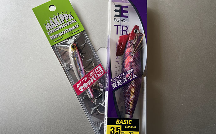 沖縄・伊是名島でのボートゲームでアカハタとアオリイカ連打！ パックロッドで挑戦