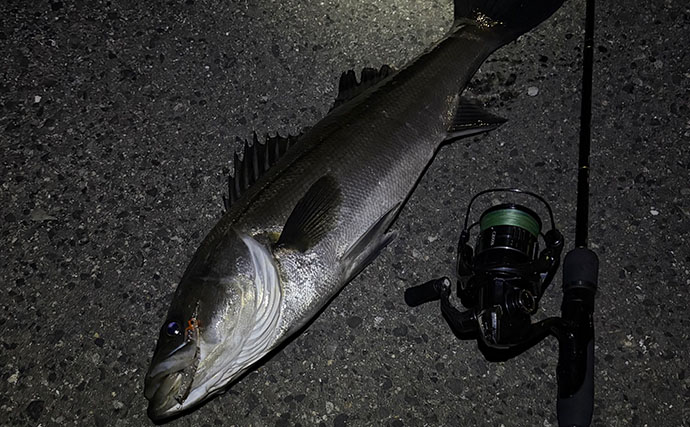 「春になればメバルは簡単に釣れる」は嘘？　メバリングで60cm級シーバスのみ