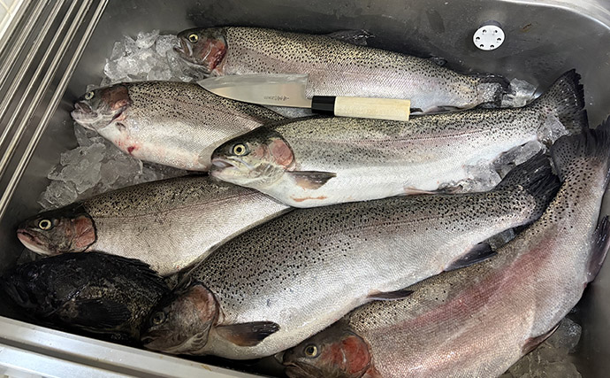 「筋子を持った大型サーモンが釣れる！」海上釣り堀岬でサーモン6匹をゲット【大阪】