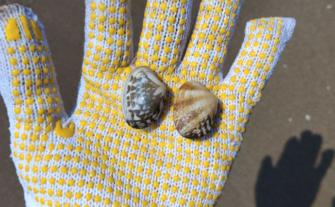 「釣り人的思考」でアサリ大量確保に成功！ 秘訣はアサリと人の考えを読むこと？