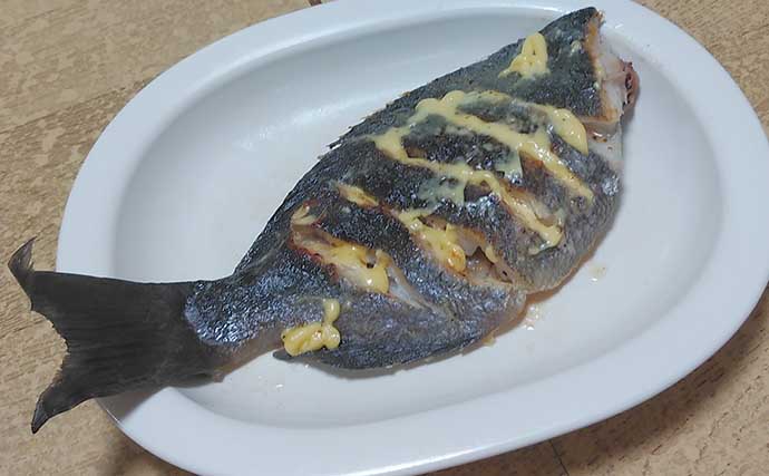 釣魚で作る「本格フレンチ風」レシピ：オナガのムニエル　マヨネーズがポイント
