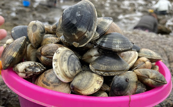 潮干狩りの最新トレンドは「ハシゴ」？　メリットと楽しみ方を紹介