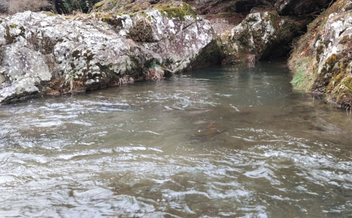 「アマゴの聖地で爆釣を満喫！」天川村での渓流エサ釣りで本命34匹手中