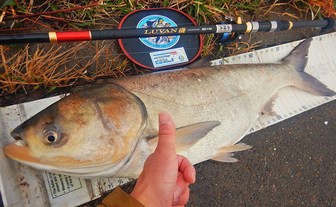ハクレン釣りシーズンが開幕！常陸利根川で85cm級ハクレン2尾をキャッチ【茨城】