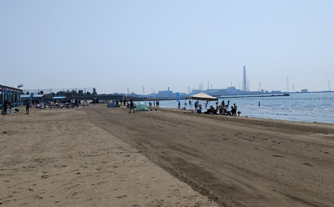 「釣り人的思考」でアサリ大量確保に成功！ 秘訣はアサリと人の考えを読むこと？