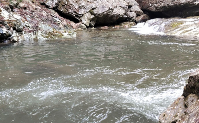 「アマゴの聖地で爆釣を満喫！」天川村での渓流エサ釣りで本命34匹手中