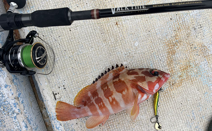 沖縄・伊是名島でのボートゲームでアカハタとアオリイカ連打！ パックロッドで挑戦