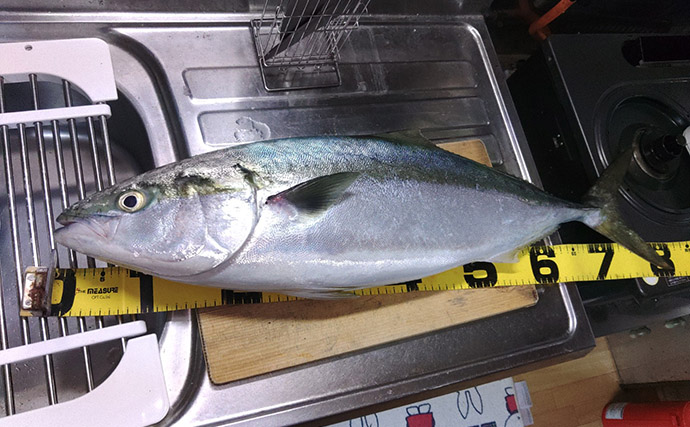 超一級フィールドに釣り移住して1年が経過　感じた4つのメリットとは？