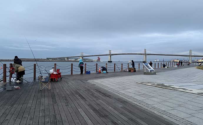 「脂ノリノリのイワシ接岸中」サビキ釣りでマイワシが爆釣！【小名浜・福島】