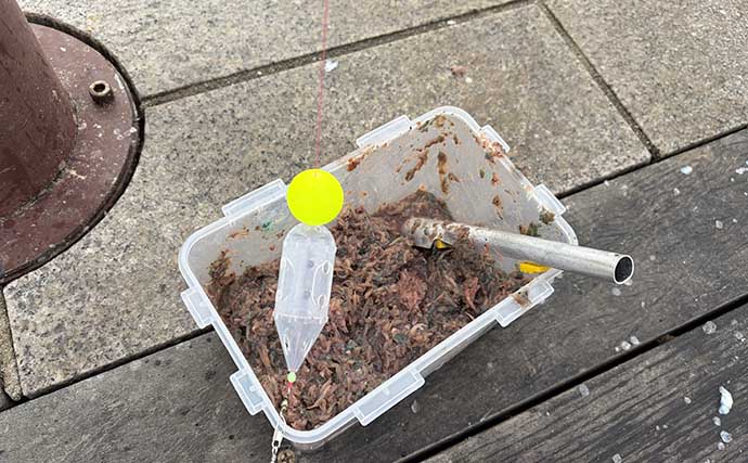 「脂ノリノリのイワシ接岸中」サビキ釣りでマイワシが爆釣！【小名浜・福島】