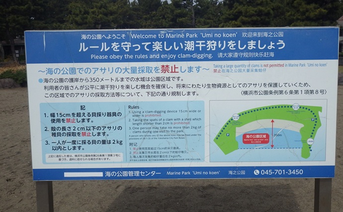 「今年は貝の生育が遅れ気味？」海の公園での潮干狩りでアサリ採取に成功！【神奈川】