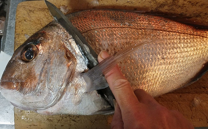 釣魚で作る「ご飯がすすむ」レシピ：角切りマダイの黒糖煮　新生姜がアクセント