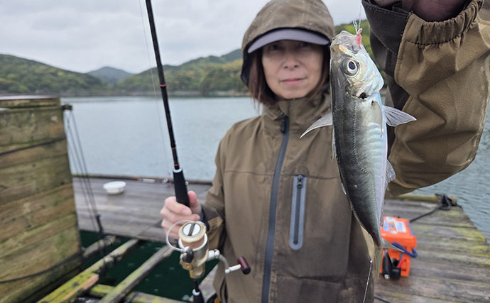 快適に釣りをしたいならイカダに決まり！ サビキで良型アジが連発【三重】