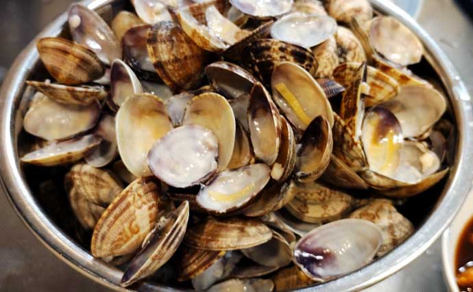 「簡単で美味！」潮干狩りのアサリを使ったレシピ3選【酒蒸し・炊き込みご飯・佃煮】