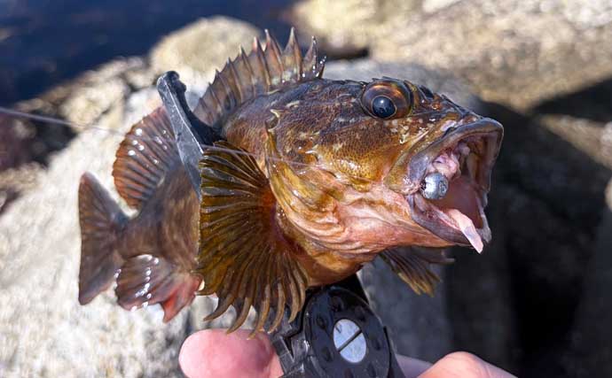 春は期待先行で釣果が安定しない季節？　確実に楽しむなら「穴釣り」がオススメ！