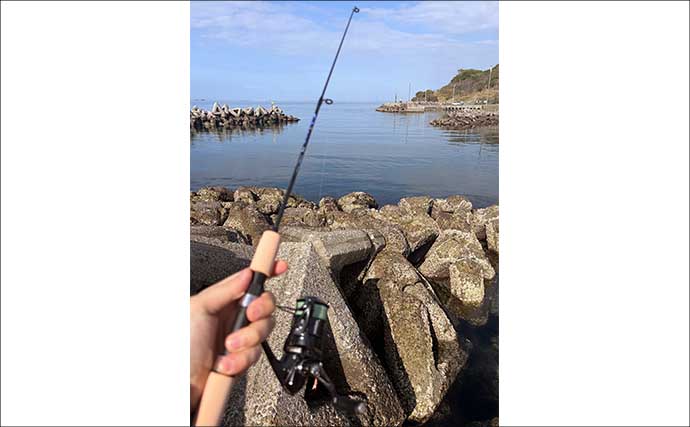 春は期待先行で釣果が安定しない季節？　確実に楽しむなら「穴釣り」がオススメ！