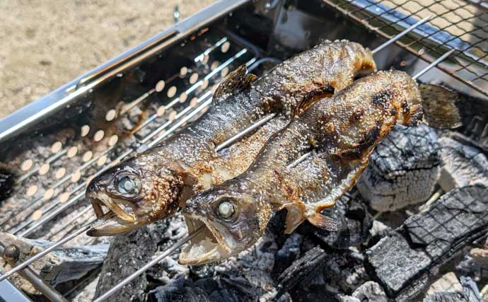 デイキャンプ＆エリアトラウト釣行で娘と休日を満喫【岐阜】釣ったニジマスの塩焼きに舌鼓