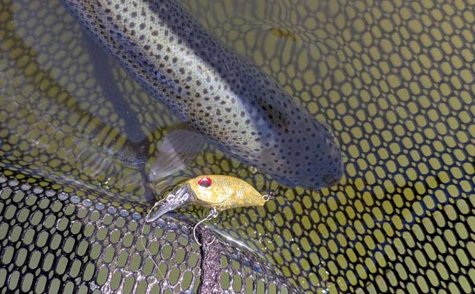 デイキャンプ＆エリアトラウト釣行で娘と休日を満喫【岐阜】釣ったニジマスの塩焼きに舌鼓