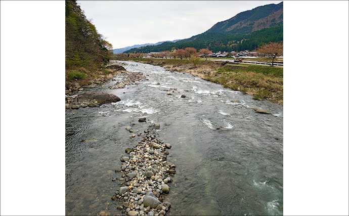 長良川本流の渓流エサ釣りで20cm超えアマゴが連発！【岐阜】40cm級ニジマスもヒット