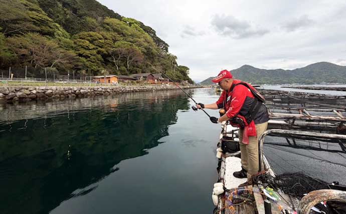 イケスでのフカセ釣りで50cm級頭にマダイ連打に成功！【沼津・静岡】